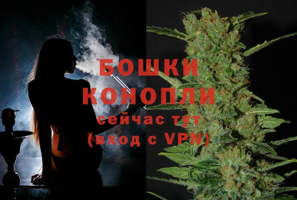 spice Коряжма