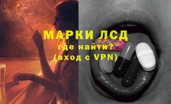 spice Коряжма
