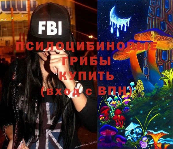 spice Коряжма