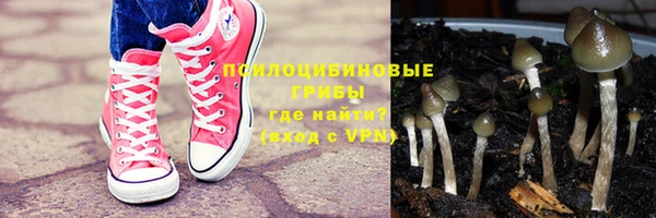СК Корсаков
