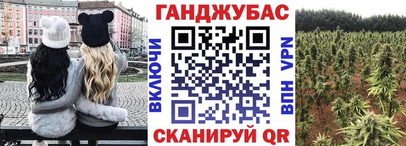 Купить где  Онега  Канабис индика 